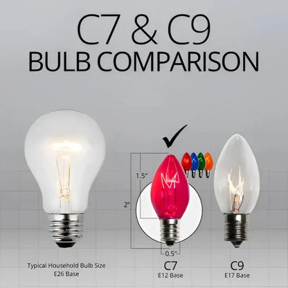 C7 Incandescent Christmas Light Bulbs Multicolor Transparent Pack of 25 - Christmas Lights