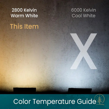 C7 Warm White Smooth ProCore LED Christmas Light Bulbs - Christmas Lights
