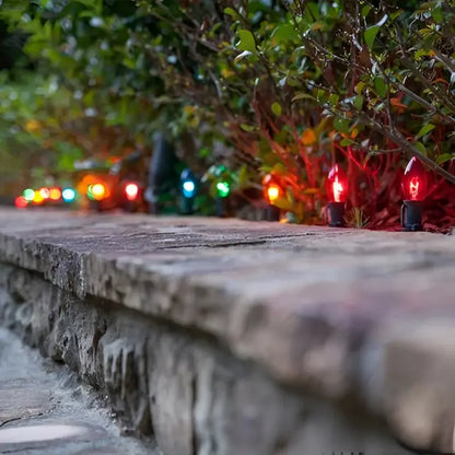 C9 Incandescent Christmas Light Bulbs Multicolor Transparent Pack of 25 - Christmas Lights