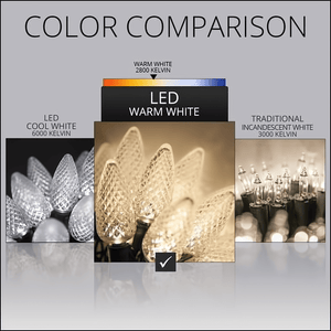 C9 Warm White LED Christmas Light Bulb String Light Set, Faceted, 8" Spacing, 25 Non Removable Bulbs Christmas Lights Wintergreen Corporation