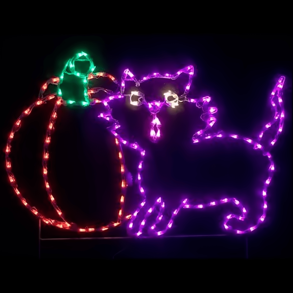 Cat With Pumpkin - The Christmas Light Emporium