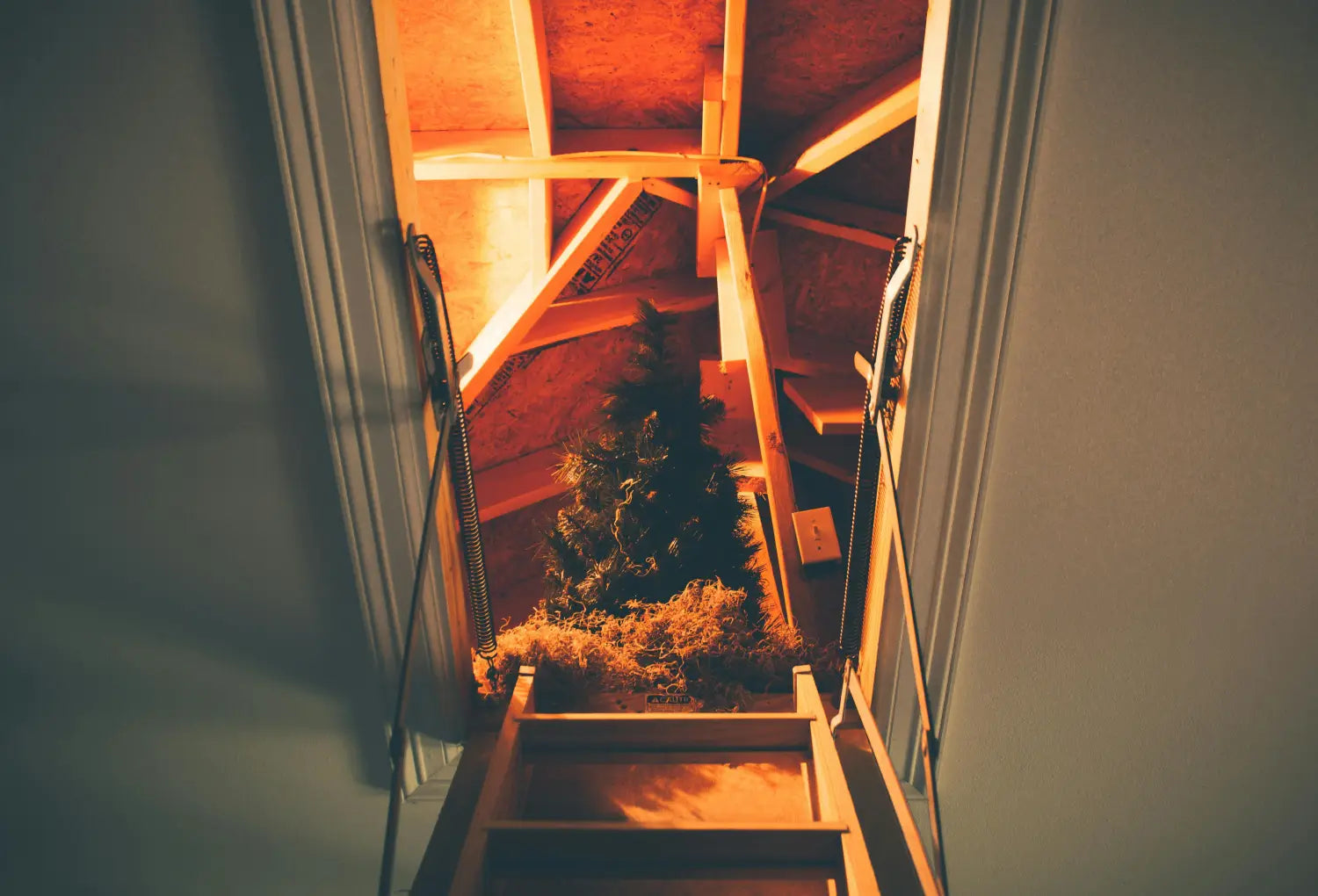 Christmas tree stored in attic