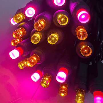 ColorSplash Candy, 5mm Multicolor LED Christmas Lights, 50 Bulbs, 6" Spacing - The Christmas Light Emporium