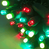 ColorSplash Holly, 5mm Multicolor LED Christmas Lights, 50 Bulbs, 6" Spacing