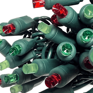 ColorSplash Holly, 5mm Multicolor LED Christmas Lights, 50 Bulbs, 6" Spacing Christmas Lights Guanyi
