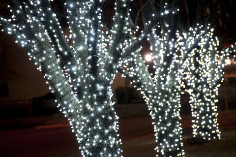 When Should I Put Up My LED Christmas Lights?