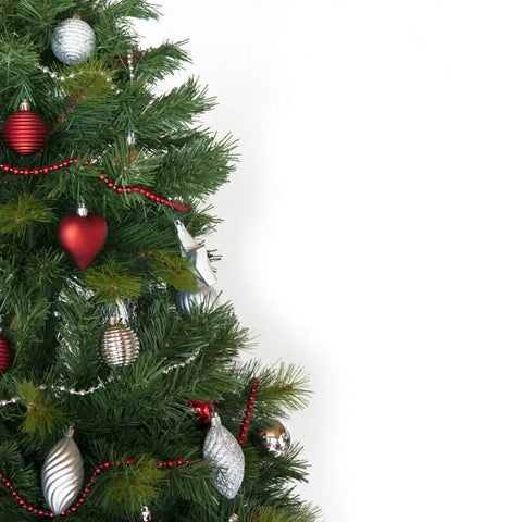 The Do’s and Don’ts of Outdoor Holiday Lighting
