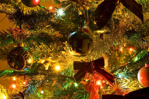 Bring Your Home to Life With Christmas Cheer!