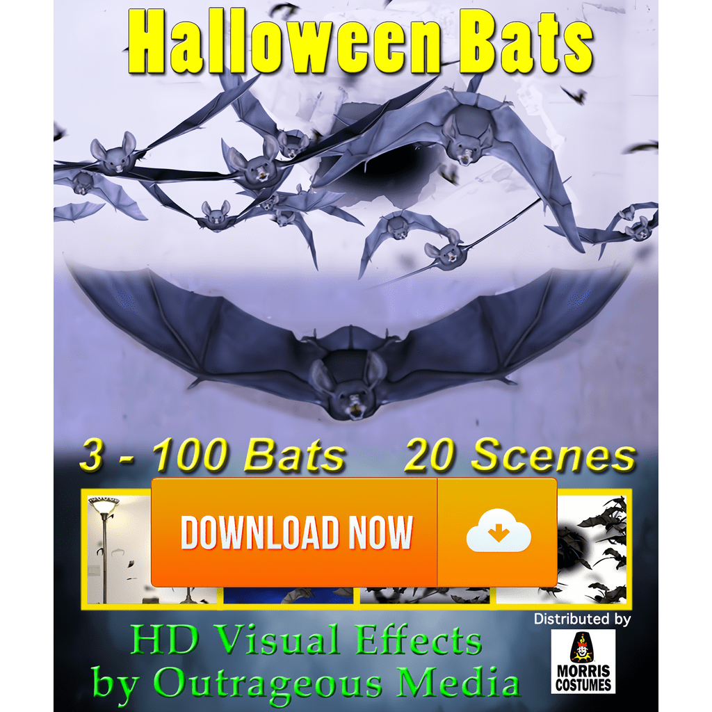 Halloween Bats, Projection Effect, Digital Download - The Christmas Light Emporium