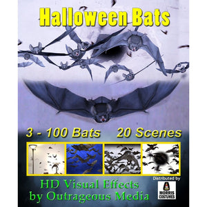 Halloween Bats, Projection Effect, USB Version Digital Decorations and Projection Effects Hyers Media USB