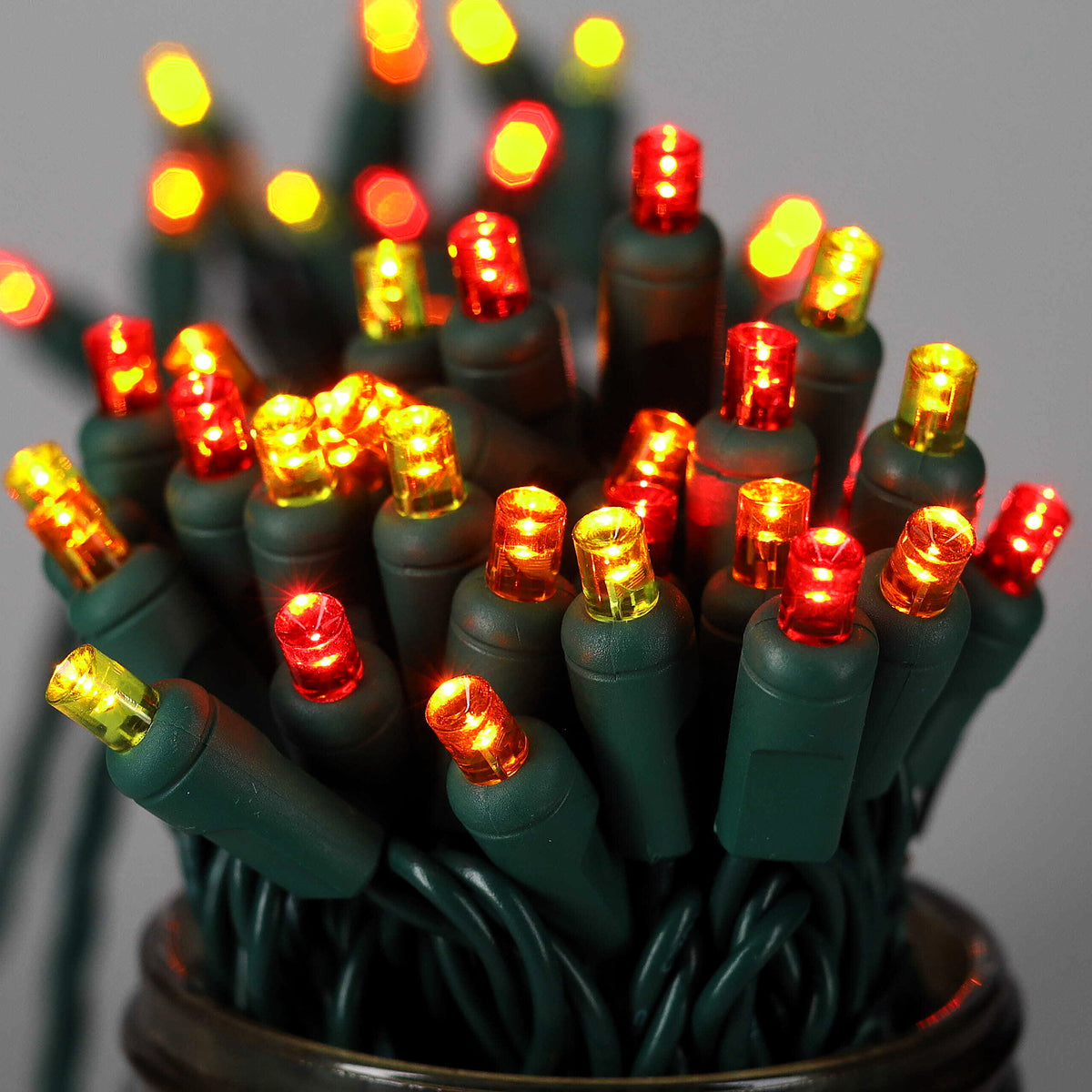 Close-up of lit ColorCraft® Harvest 5mm LED lights in red, orange, and gold on green wire spilling from a dark container