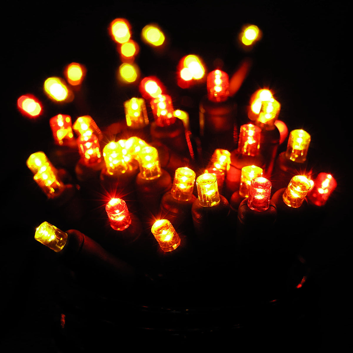 Close-up of lit ColorCraft® Harvest 5mm LED Christmas lights glowing red, orange, and gold against a dark background