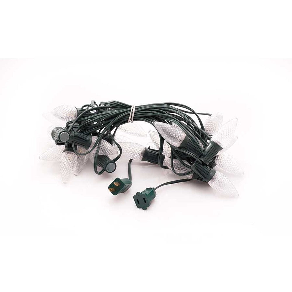 Lite-Netics 25-foot magnetic C9 stringer with green wire, plugs, and bulbs shown for reference