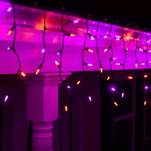M5 Halloween Orange and Purple LED Icicle Lights, 70 Bulbs, 7.5ft Long, Black Wire Christmas Lights Wintergreen Corporation