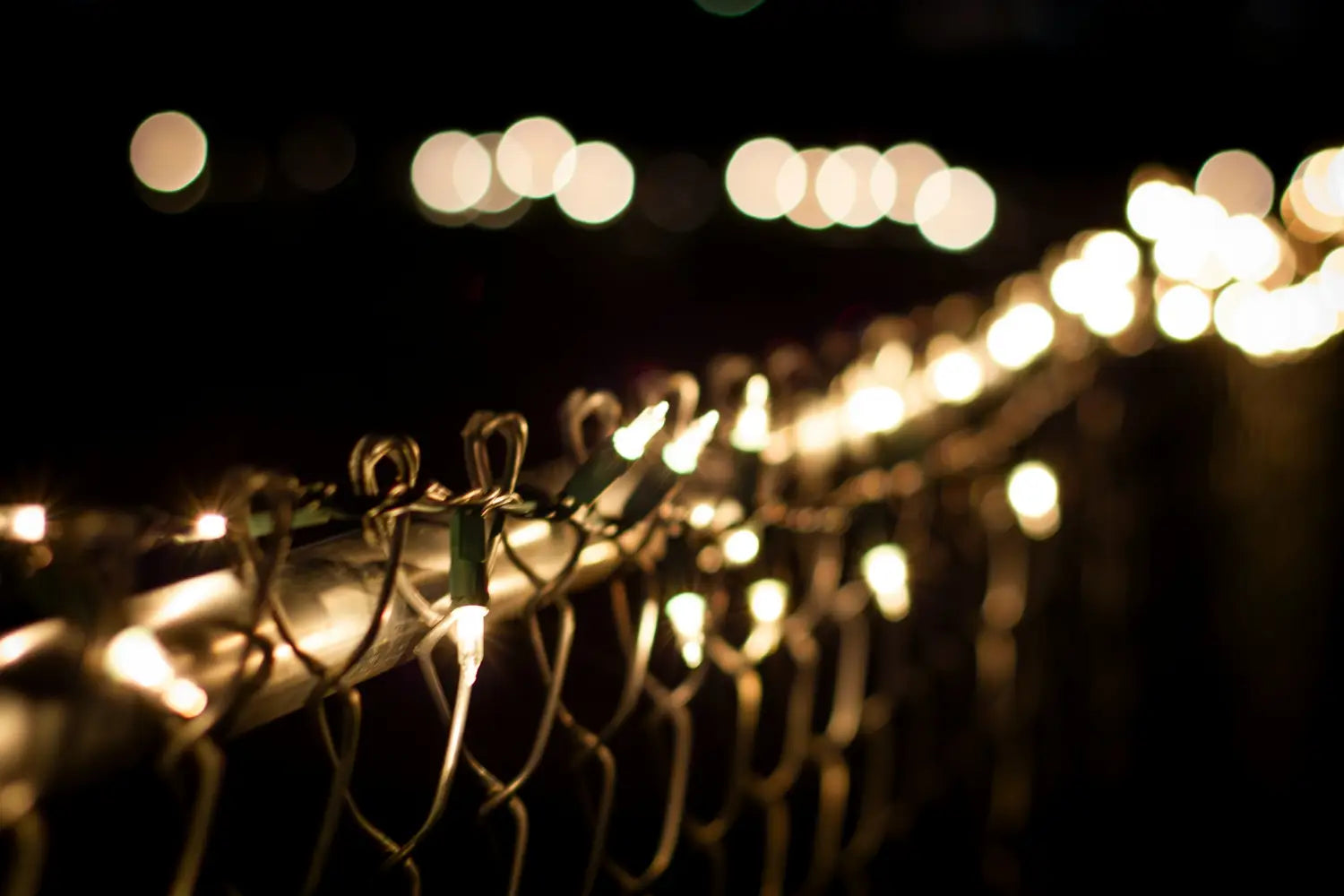 Christmas lights on a fence