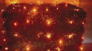 4' x 6' Orange 5mm LED Smooth Fade DreamSpark Net Lights