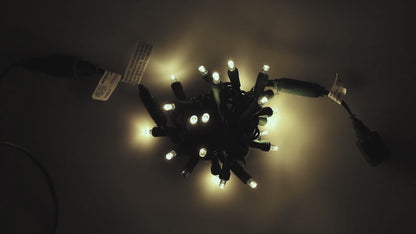 Commercial Co-Axial 5mm Warm White White LED Christmas Lights, 25 Bulbs, 4" Spacing, TWINKLE