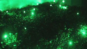 4' x 6' Green 5mm LED Smooth Fade DreamSpark Net Lights