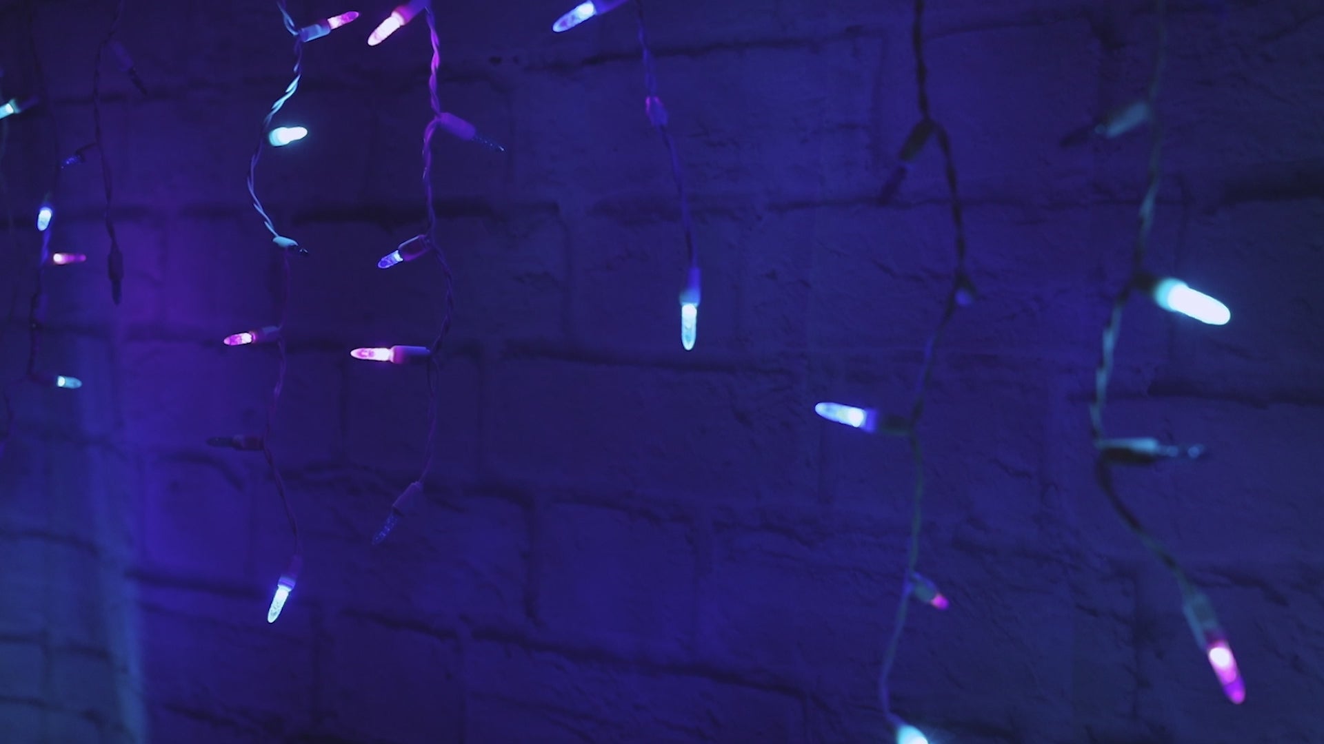 70 M5 Stardust - Blue, Purple | Christmas Light Emporium