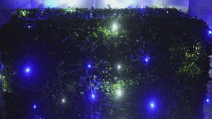 4' x 6' Blue and Cool White 5mm LED Smooth Fade DreamSpark Net Lights