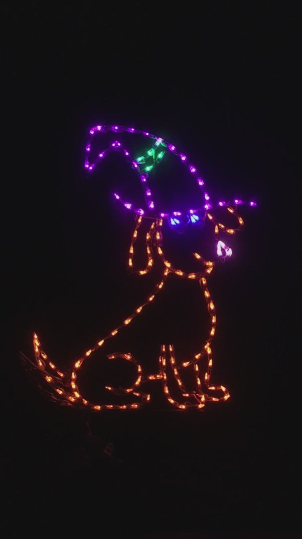 Animated Dog with Witch's Hat, Lighted Outdoor Halloween Display - Wireframes Displays and Yard Art