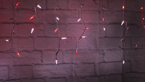 M5 LED Smooth Fade Red and Cool White LED Icicle Lights, DreamSpark, 70 Bulbs, 7.5ft Long, White Wire