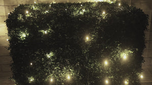 4' x 6' Warm White 5mm LED Smooth Fade DreamSpark Net Lights