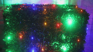 4' x 6' Multicolor 5mm LED Smooth Fade DreamSpark Net Lights