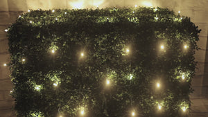 4' x 6' Warm White 5mm LED Christmas Net Lights, TWINKLE