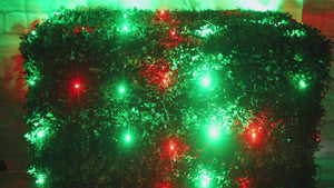 4' x 6' Red and Green 5mm LED Smooth Fade DreamSpark Net Lights