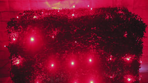 4' x 6' Red 5mm LED Smooth Fade DreamSpark Net Lights