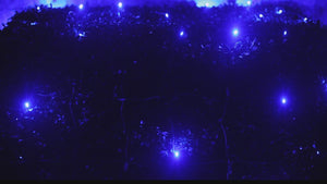 4' x 6' Blue 5mm LED Smooth Fade DreamSpark Net Lights