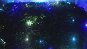 4' x 6' Arctic 5mm LED Smooth Fade DreamSpark Net Lights