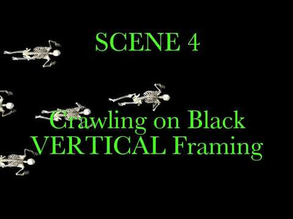 Skeleton Invaders, Projection Effect, USB Version