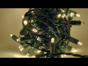 12’ Christmas Tree Light String Bundle, 5mm LED, Warm White TWINKLE