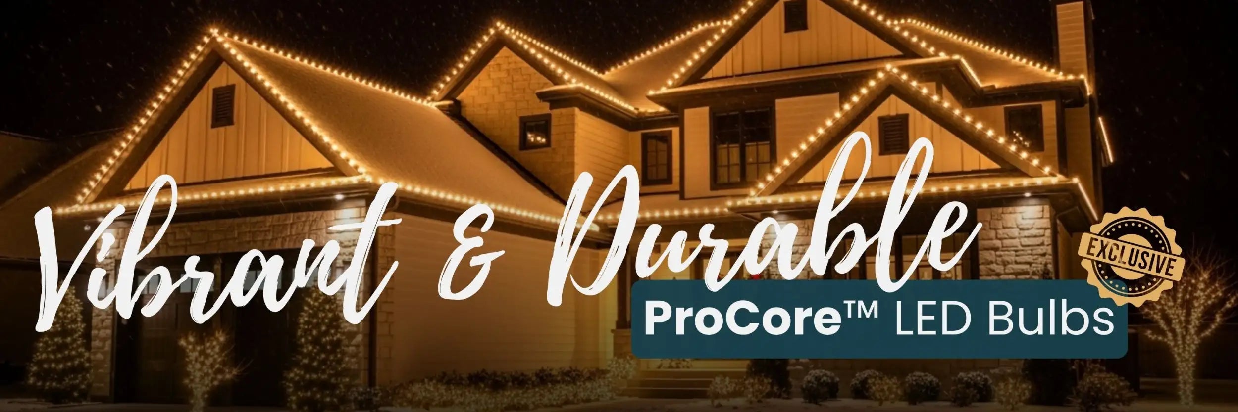 Procore led bulbs with warm white light, durable design for outdoor use.