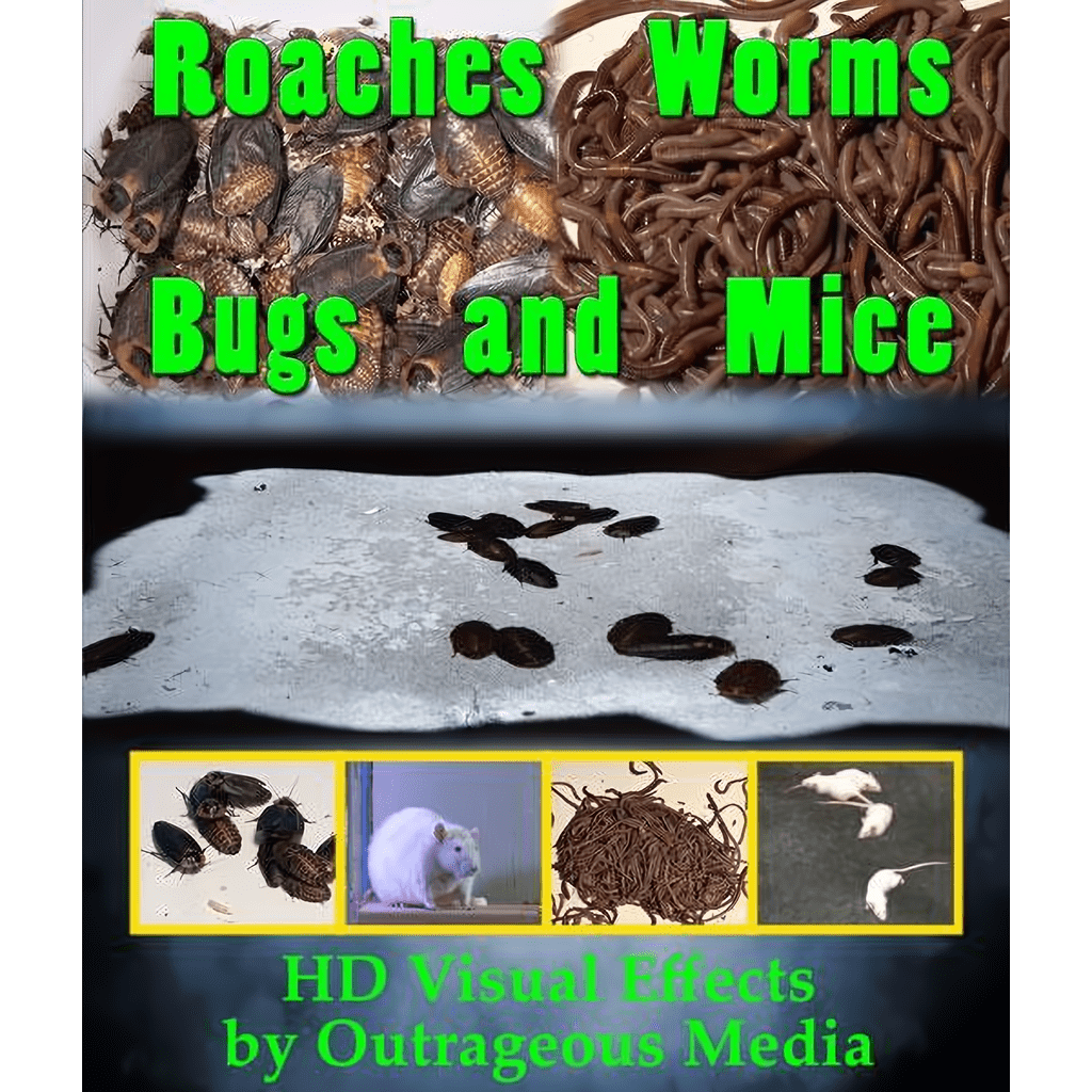 Roaches, Worms, Bugs & Mice, Projection Effect, USB Version - The Christmas Light Emporium