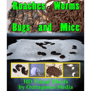 Roaches, Worms, Bugs & Mice, Projection Effect, USB Version Digital Decorations and Projection Effects Hyers Media USB