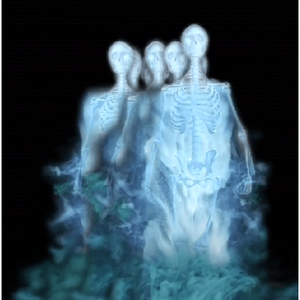 Skeleton Ghost Clones, Projection Effect, USB Version Digital Decorations and Projection Effects Hyers Media USB