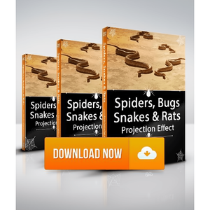 Spiders, Bugs, Snakes and Rats Virtual Effects Download, Digital Halloween Decorations Digital Decorations and Projection Effects Hyers Media