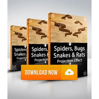 Spiders, Bugs, Snakes and Rats Virtual Effects Download, Digital Halloween Decorations