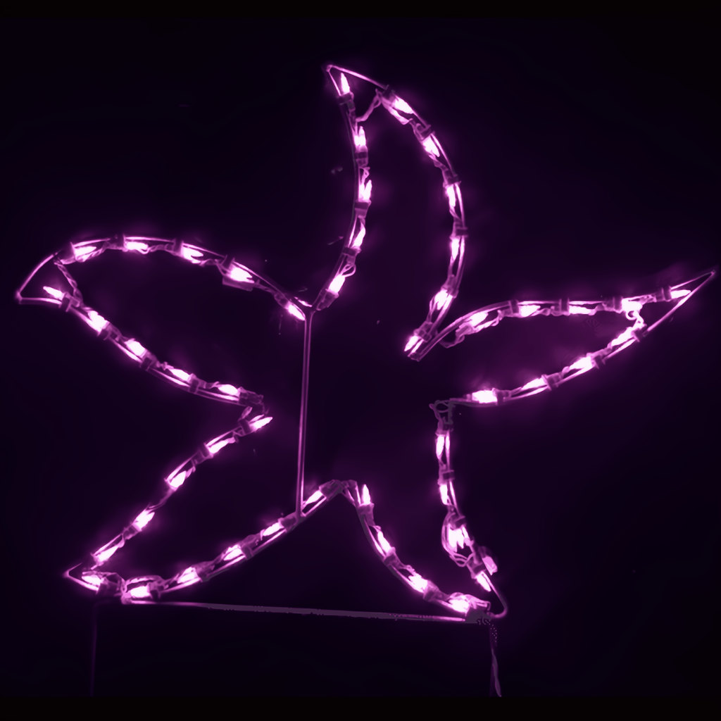 Star Fish - The Christmas Light Emporium