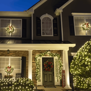 Wreath, 24" Sequoia Fir Wreath, Pre-Lit, LED Warm White Christmas Decorations Wintergreen Corporation