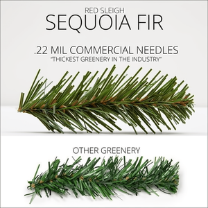 Wreath, 36" Sequoia Fir Wreath, Unlit Christmas Decorations Wintergreen Corporation