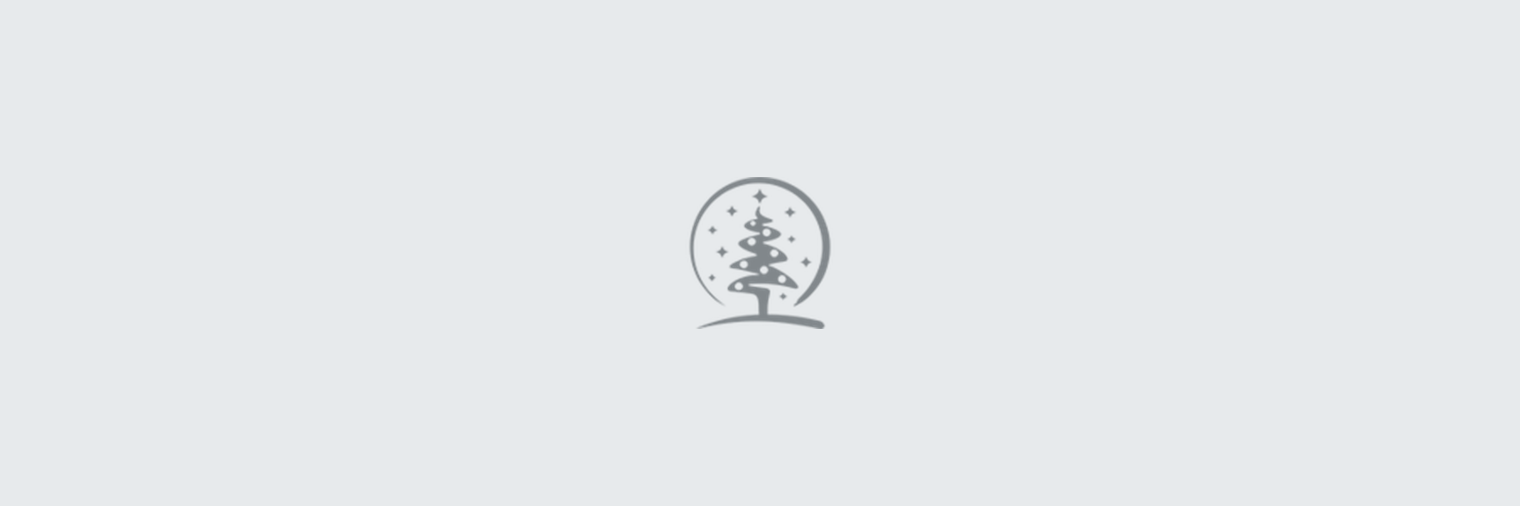 The Christmas Light Emporium banner placeholder